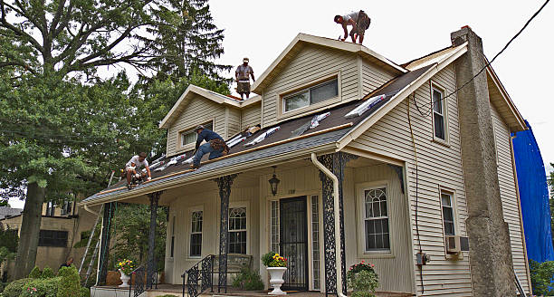 Best Storm Damage Roof Repair  in South Plainfield, NJ